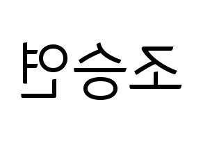 KPOP X1(엑스원、エックスワン) 조승연 (チョ・スンヨン) コンサート用　応援ボード・うちわ　韓国語/ハングル文字型紙 左右反転