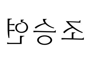 KPOP X1(엑스원、エックスワン) 조승연 (チョ・スンヨン) 応援ボード・うちわ　韓国語/ハングル文字型紙 左右反転