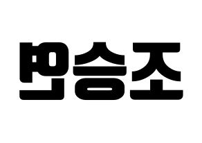KPOP X1(엑스원、エックスワン) 조승연 (チョ・スンヨン) コンサート用　応援ボード・うちわ　韓国語/ハングル文字型紙 左右反転