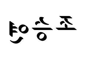 KPOP X1(엑스원、エックスワン) 조승연 (チョ・スンヨン) 応援ボード ハングル 型紙  左右反転