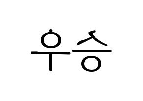 KPOP X1(엑스원、エックスワン) 한승우 (ハン・スンウ) 応援ボード・うちわ　韓国語/ハングル文字型紙 左右反転