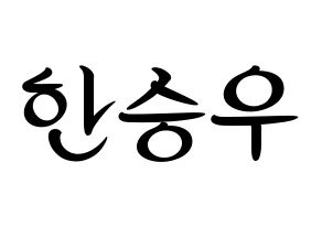 KPOP X1(엑스원、エックスワン) 한승우 (ハン・スンウ) k-pop 応援ボード メッセージ 型紙 通常