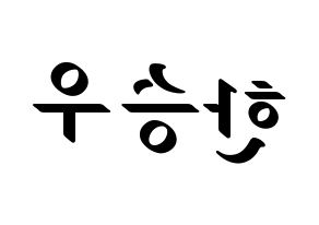 KPOP X1(엑스원、エックスワン) 한승우 (ハン・スンウ) 応援ボード ハングル 型紙  左右反転