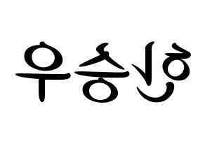 KPOP X1(엑스원、エックスワン) 한승우 (ハン・スンウ) k-pop 応援ボード メッセージ 型紙 左右反転