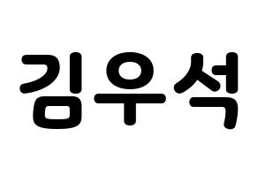 KPOP X1(엑스원、エックスワン) 김우석 (キム・ウソク) 応援ボード・うちわ　韓国語/ハングル文字型紙 通常