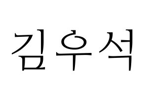 KPOP X1(엑스원、エックスワン) 김우석 (キム・ウソク) 応援ボード・うちわ　韓国語/ハングル文字型紙 通常