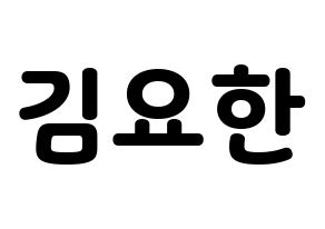 KPOP X1(엑스원、エックスワン) 김요한 (キム・ヨハン) 応援ボード・うちわ　韓国語/ハングル文字型紙 通常