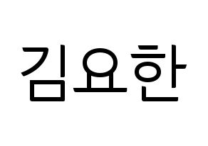 KPOP X1(엑스원、エックスワン) 김요한 (キム・ヨハン) コンサート用　応援ボード・うちわ　韓国語/ハングル文字型紙 通常