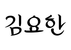 KPOP X1(엑스원、エックスワン) 김요한 (キム・ヨハン) k-pop 応援ボード メッセージ 型紙 通常