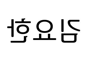 KPOP X1(엑스원、エックスワン) 김요한 (キム・ヨハン) プリント用応援ボード型紙、うちわ型紙　韓国語/ハングル文字型紙 左右反転