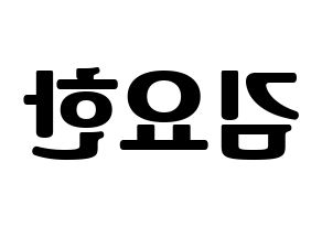 KPOP X1(엑스원、エックスワン) 김요한 (キム・ヨハン) コンサート用　応援ボード・うちわ　韓国語/ハングル文字型紙 左右反転