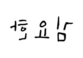 KPOP X1(엑스원、エックスワン) 김요한 (キム・ヨハン) 応援ボード ハングル 型紙  左右反転