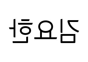 KPOP X1(엑스원、エックスワン) 김요한 (キム・ヨハン) コンサート用　応援ボード・うちわ　韓国語/ハングル文字型紙 左右反転