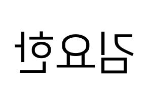 KPOP X1(엑스원、エックスワン) 김요한 (キム・ヨハン) プリント用応援ボード型紙、うちわ型紙　韓国語/ハングル文字型紙 左右反転