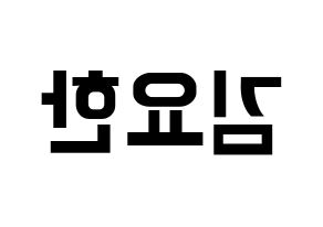KPOP X1(엑스원、エックスワン) 김요한 (キム・ヨハン) k-pop アイドル名前 ファンサボード 型紙 左右反転