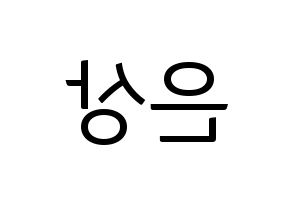 KPOP X1(엑스원、エックスワン) 이은상 (イ・ウンサン) コンサート用　応援ボード・うちわ　韓国語/ハングル文字型紙 左右反転