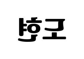 KPOP X1(엑스원、エックスワン) 남도현 (ナム・ドヒョン) コンサート用　応援ボード・うちわ　韓国語/ハングル文字型紙 左右反転