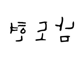 KPOP X1(엑스원、エックスワン) 남도현 (ナム・ドヒョン) 応援ボード ハングル 型紙  左右反転