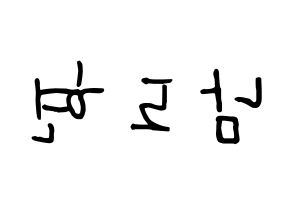 KPOP X1(엑스원、エックスワン) 남도현 (ナム・ドヒョン) k-pop 応援ボード メッセージ 型紙 左右反転