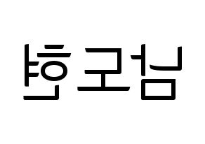 KPOP X1(엑스원、エックスワン) 남도현 (ナム・ドヒョン) コンサート用　応援ボード・うちわ　韓国語/ハングル文字型紙 左右反転