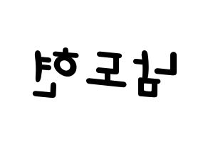KPOP X1(엑스원、エックスワン) 남도현 (ナム・ドヒョン) 名前 応援ボード 作り方 左右反転