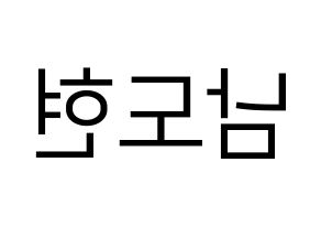 KPOP X1(엑스원、エックスワン) 남도현 (ナム・ドヒョン) プリント用応援ボード型紙、うちわ型紙　韓国語/ハングル文字型紙 左右反転