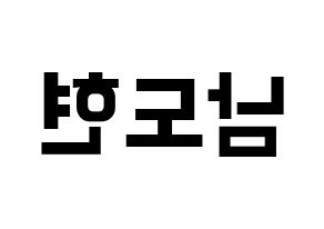 KPOP X1(엑스원、エックスワン) 남도현 (ナム・ドヒョン) k-pop アイドル名前 ファンサボード 型紙 左右反転