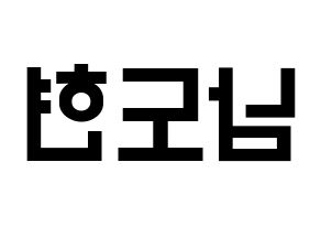 KPOP X1(엑스원、エックスワン) 남도현 (ナム・ドヒョン) 名前 応援ボード 作り方 左右反転