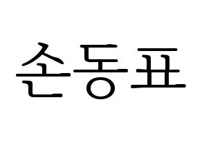 KPOP X1(엑스원、エックスワン) 손동표 (ソン・ドンピョ) 応援ボード・うちわ　韓国語/ハングル文字型紙 通常