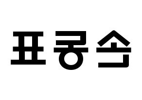 KPOP X1(엑스원、エックスワン) 손동표 (ソン・ドンピョ, ソン・ドンピョ) 応援ボード、うちわ無料型紙、応援グッズ 左右反転