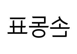 KPOP X1(엑스원、エックスワン) 손동표 (ソン・ドンピョ) コンサート用　応援ボード・うちわ　韓国語/ハングル文字型紙 左右反転