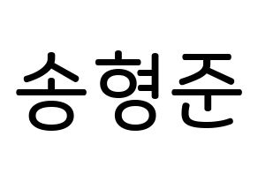 KPOP X1(엑스원、エックスワン) 송형준 (ソン・ヒョンジュン, ソン・ヒョンジュン) 無料サイン会用、イベント会用応援ボード型紙 通常