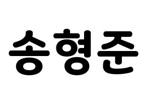 KPOP X1(엑스원、エックスワン) 송형준 (ソン・ヒョンジュン) 応援ボード・うちわ　韓国語/ハングル文字型紙 通常