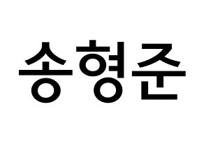 KPOP X1(엑스원、エックスワン) 송형준 (ソン・ヒョンジュン, ソン・ヒョンジュン) 無料サイン会用、イベント会用応援ボード型紙 通常