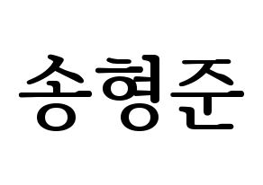 KPOP X1(엑스원、エックスワン) 송형준 (ソン・ヒョンジュン) プリント用応援ボード型紙、うちわ型紙　韓国語/ハングル文字型紙 通常