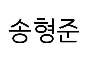 KPOP X1(엑스원、エックスワン) 송형준 (ソン・ヒョンジュン) コンサート用　応援ボード・うちわ　韓国語/ハングル文字型紙 通常