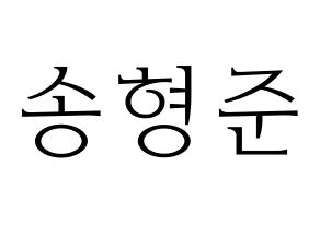 KPOP X1(엑스원、エックスワン) 송형준 (ソン・ヒョンジュン) 応援ボード・うちわ　韓国語/ハングル文字型紙 通常