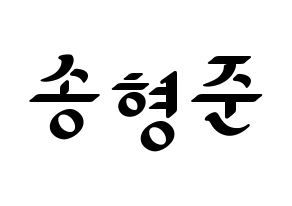 KPOP X1(엑스원、エックスワン) 송형준 (ソン・ヒョンジュン) 応援ボード ハングル 型紙  通常