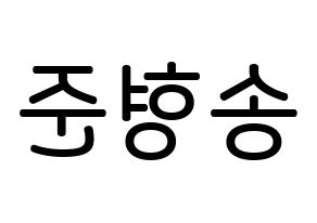 KPOP X1(엑스원、エックスワン) 송형준 (ソン・ヒョンジュン, ソン・ヒョンジュン) 無料サイン会用、イベント会用応援ボード型紙 左右反転