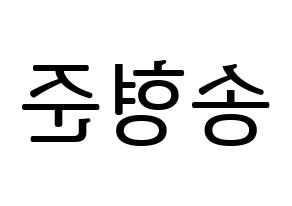 KPOP X1(엑스원、エックスワン) 송형준 (ソン・ヒョンジュン) プリント用応援ボード型紙、うちわ型紙　韓国語/ハングル文字型紙 左右反転