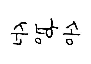 KPOP X1(엑스원、エックスワン) 송형준 (ソン・ヒョンジュン) k-pop 応援ボード メッセージ 型紙 左右反転