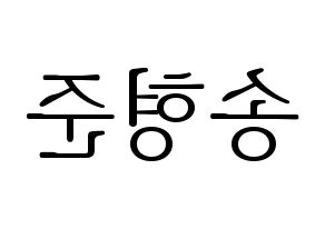 KPOP X1(엑스원、エックスワン) 송형준 (ソン・ヒョンジュン) 応援ボード・うちわ　韓国語/ハングル文字型紙 左右反転