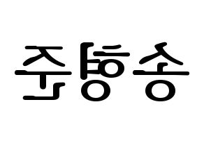 KPOP X1(엑스원、エックスワン) 송형준 (ソン・ヒョンジュン) プリント用応援ボード型紙、うちわ型紙　韓国語/ハングル文字型紙 左右反転