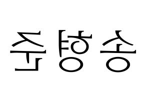 KPOP X1(엑스원、エックスワン) 송형준 (ソン・ヒョンジュン) 応援ボード・うちわ　韓国語/ハングル文字型紙 左右反転