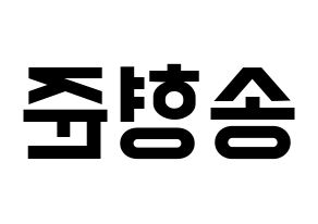 KPOP X1(엑스원、エックスワン) 송형준 (ソン・ヒョンジュン) 名前 応援ボード 作り方 左右反転