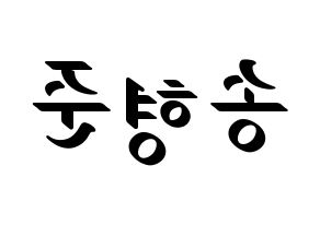 KPOP X1(엑스원、エックスワン) 송형준 (ソン・ヒョンジュン) 応援ボード ハングル 型紙  左右反転