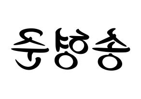 KPOP X1(엑스원、エックスワン) 송형준 (ソン・ヒョンジュン) k-pop 応援ボード メッセージ 型紙 左右反転